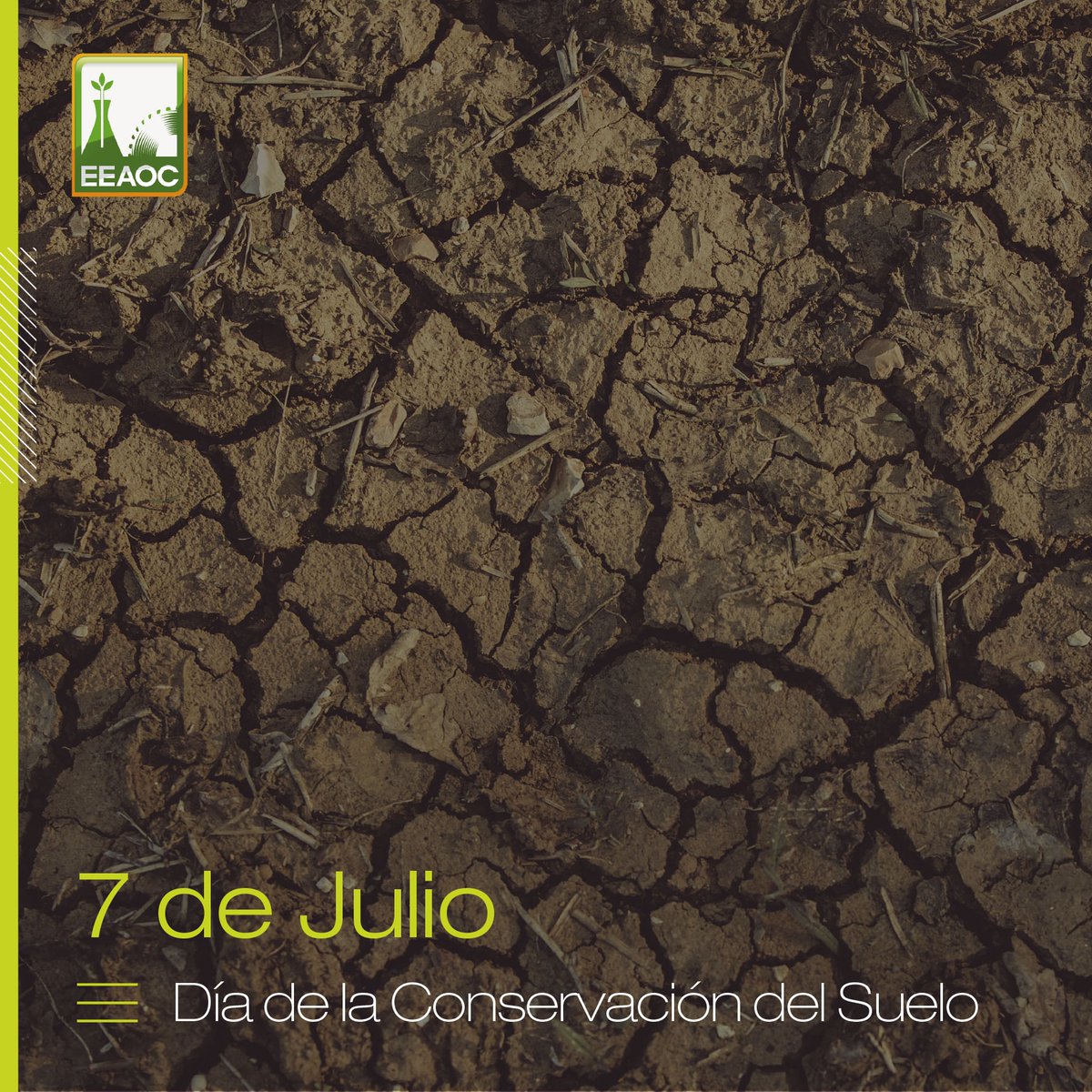 Hoy celebramos el Día de la Conservación del Suelo. 🌍🌱 Es vital proteger nuestro suelopara la producción de alimentos y la regulación del clima. Prácticas sostenibles como la rotación de cultivos y la reforestación son clave. #ConservaciónDelSuelo #Sostenibilidad
