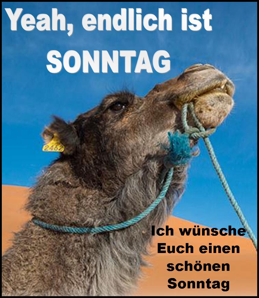 rofried's tweet photo. https://t.co/lEmoa98TS7
