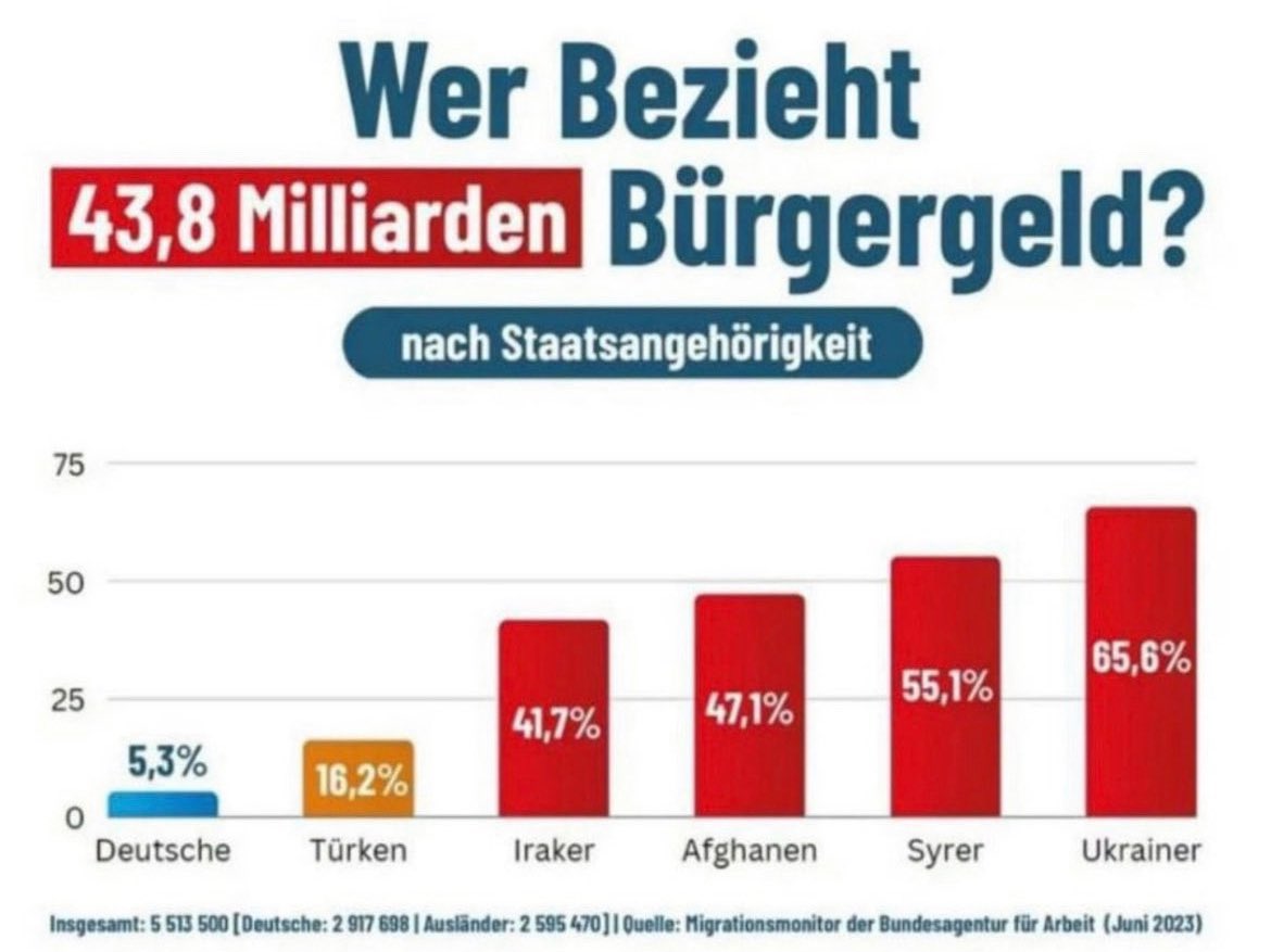 „Halten dieses Land am Leben“
Indem sie dreimal so häufig Bürgergeld beziehen?