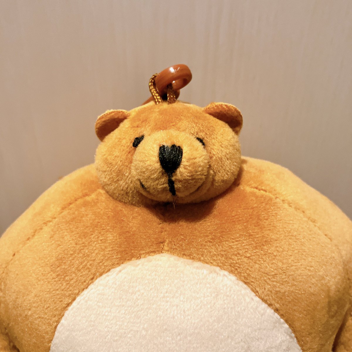 ruffletissocute's tweet photo. 新しいおともだちが来ましたよ🐻
18cmって知ってたけど想像の倍くらい大きくてふかふかでとてもかわいい!やさしいお顔してる!
#tinyheadedkingdom https://t.co/Zq95LjTSZE
