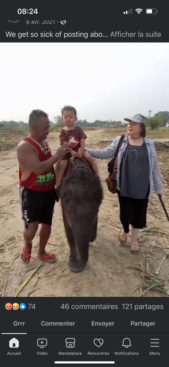 Lucycrew7's tweet image. This is so STUPID AND CRUEL 🤬🤬
Elephant deserve respect !!! #Elephantstay is evil place 🤬🤬🤬 please don’t spend your $$$ there !!
They ride baby  there 💔💔💔
🤬🤬🤬🤬