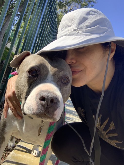 Off to the shelter remember  adopt don&rsquo;t shop #rescuedog are the best 🐶🐶 https://t.co/nXVOX1ewH0<a href="/tag/rescuedog"class="tags"><span>#rescuedog</span></a>