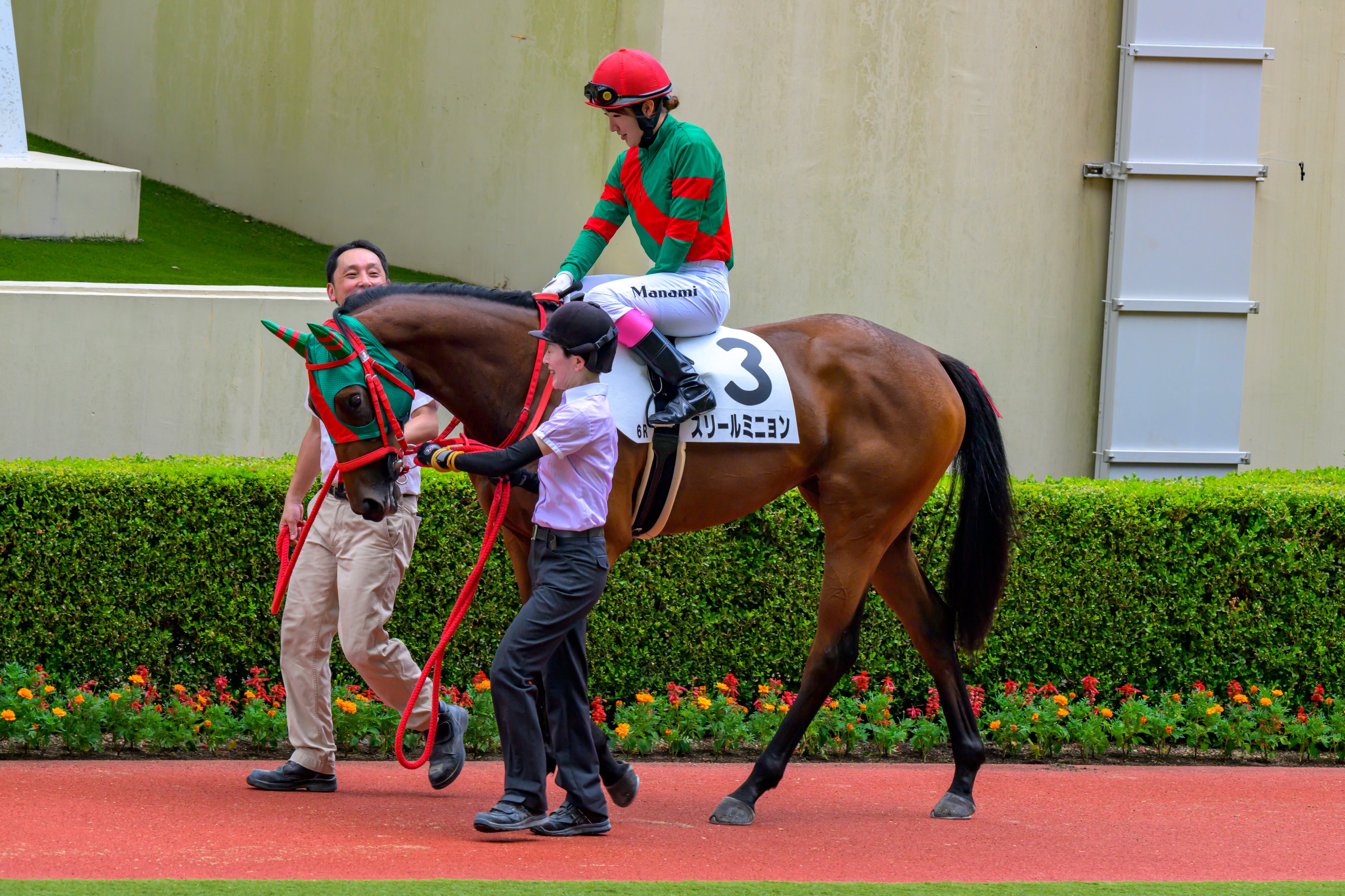競馬 馬 フレデリック・レミントン画集