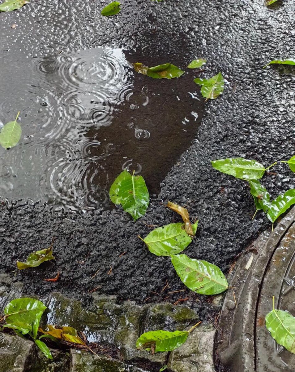 It's another rainy day