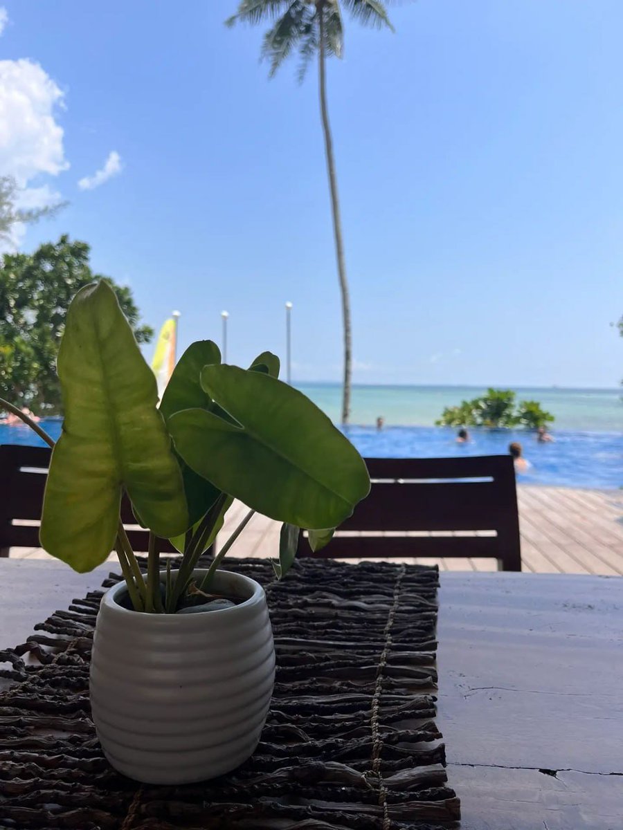 Relaxing weekend at the beach