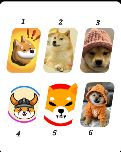 allDOGcoins333 tweet media