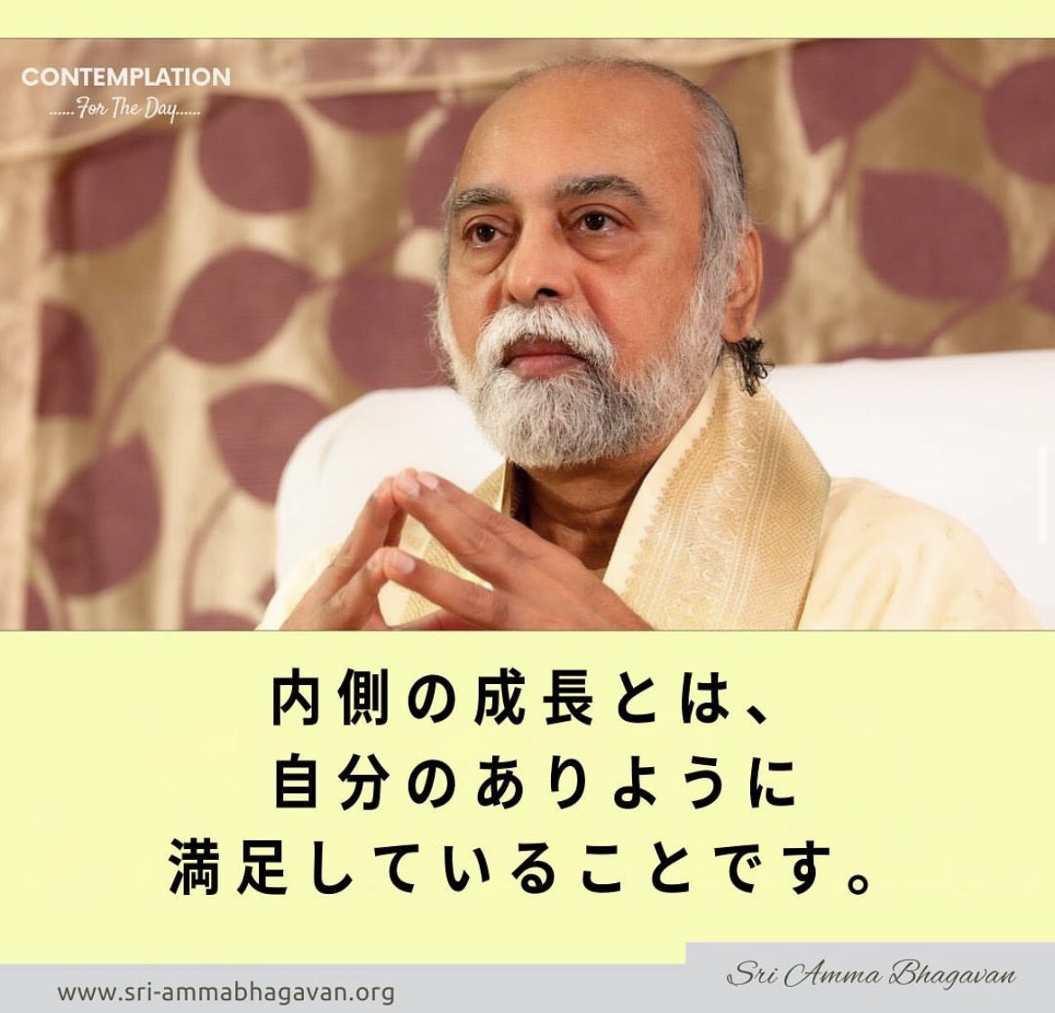 GOLDEN AGE MOVEMENT JAPAN tweet media