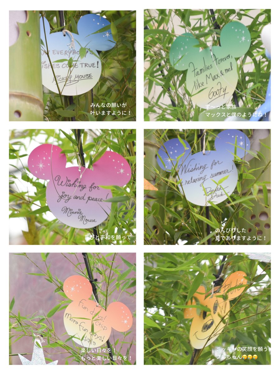 tora0422's tweet image. みんなが書いた短冊をまた見たいが七夕の願い🥲