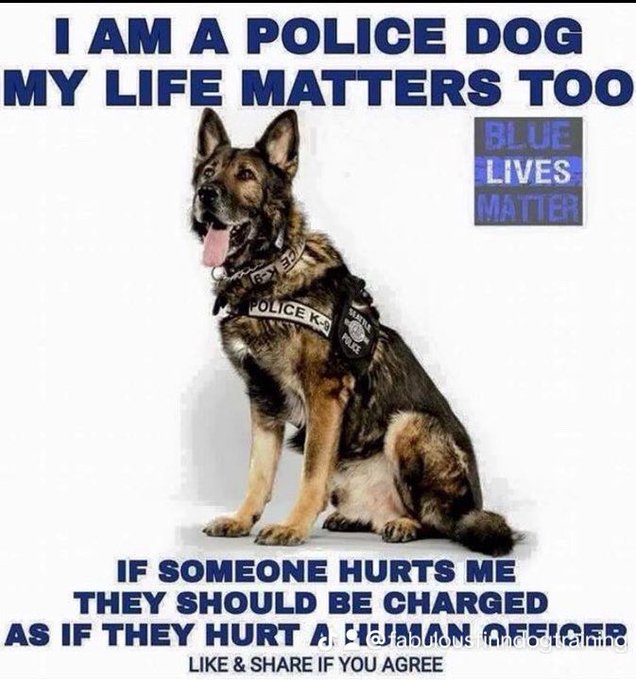 RPD Malinois Breeze & Dutch Shepherd Bruce💙 (@lindamichellej3) on Twitter photo 