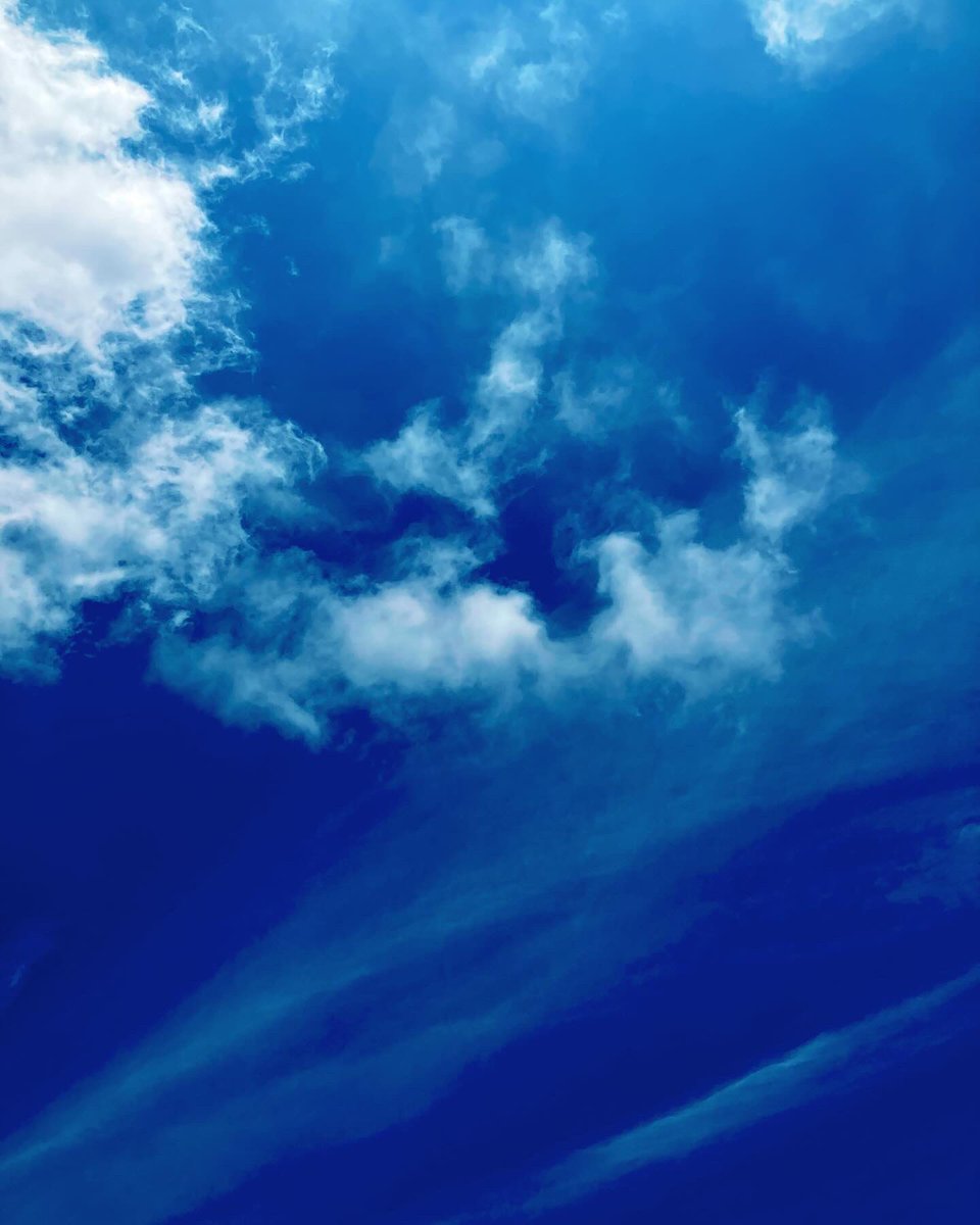 ataiga_0908's tweet photo. Enjoying the summer breeze under a clear blue sky ☀️🌿
#summer #bluesky #breeze #naturelover #sunnydays #refreshingtime #outdoorescape #naturetherapy #clearskies #summermoments #summerfeels #outdoorbliss #natureinspired #summerjoys #naturehealing #sunshinedays #breathinnature https://t.co/0yAu5c7w4c