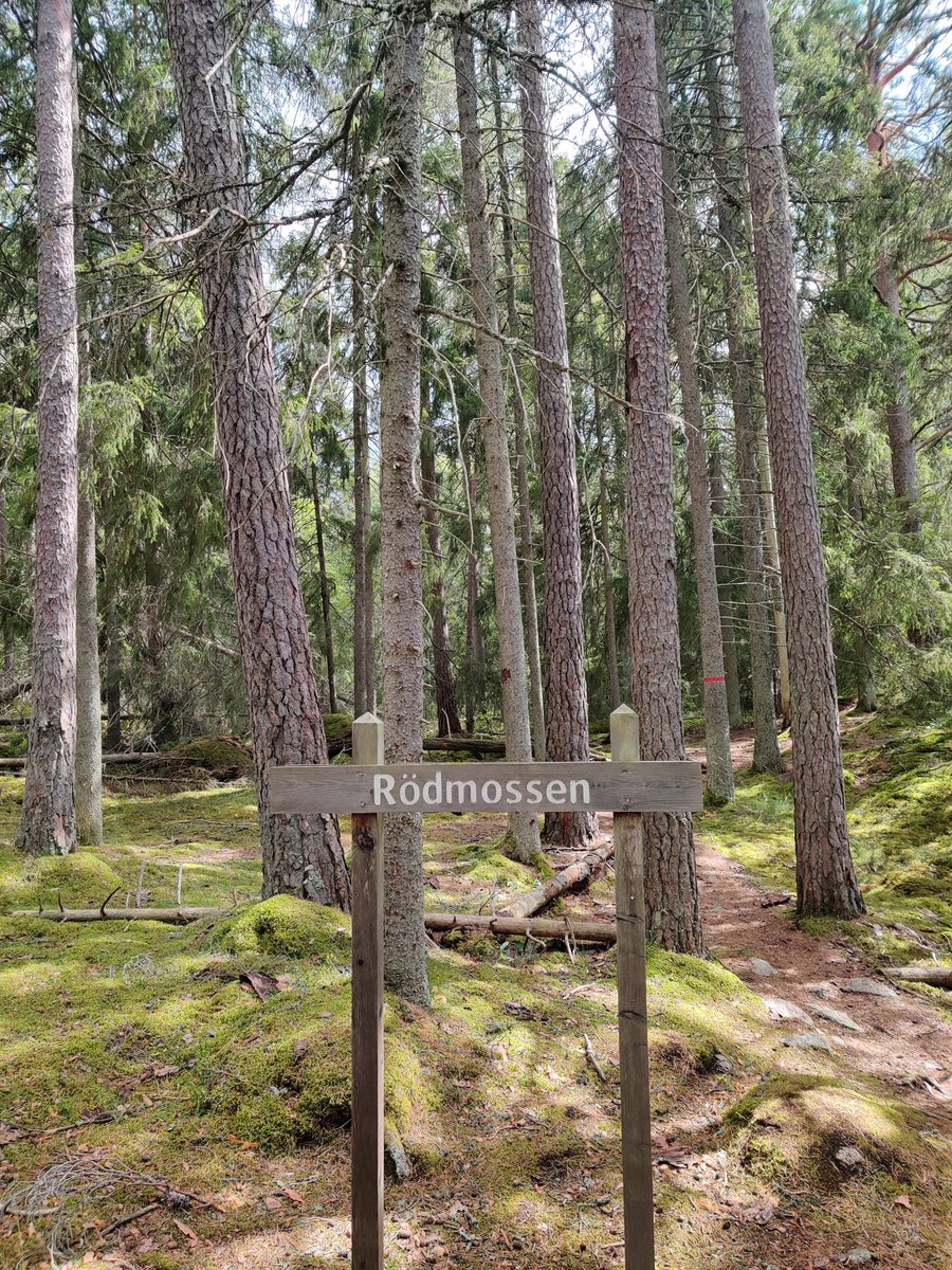 Shacozzi's tweet image. "found a dollar in the woods" - MC Keemstar 

Still making money on my day off 💯🍽️