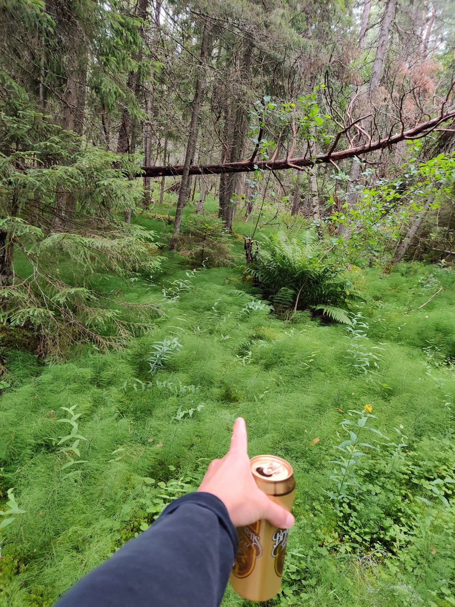 Shacozzi's tweet image. "found a dollar in the woods" - MC Keemstar 

Still making money on my day off 💯🍽️