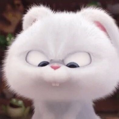angry bunny 🐰💢
