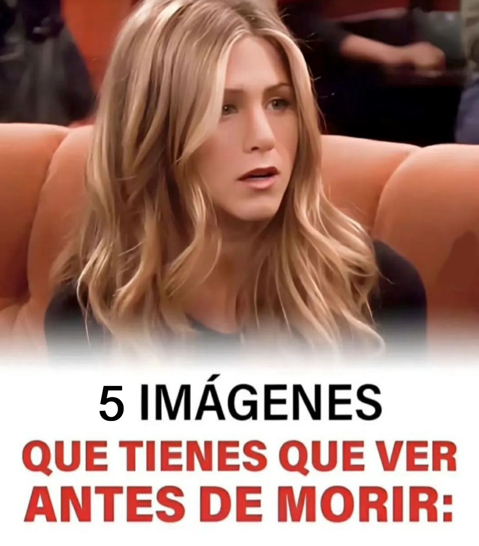 5 imágenes que tienes que ver antes de morir:

- Hilo - 👇