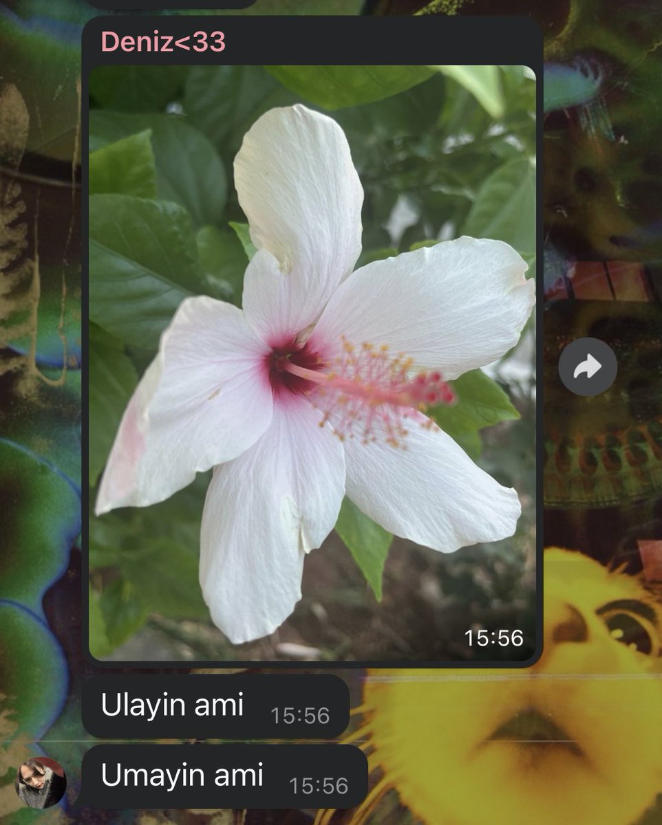 ๑ ☼ .｡.: * cadalozyumM #1312 #6284 tweet media