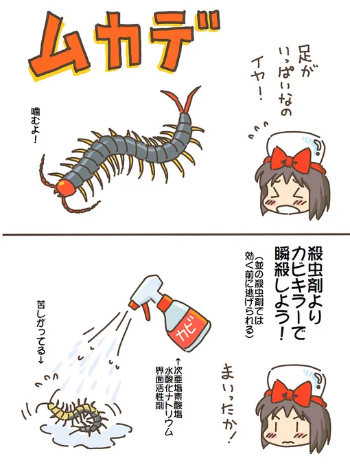 売れのこったブラウン管のおはなし。(1177)

ムカデ 