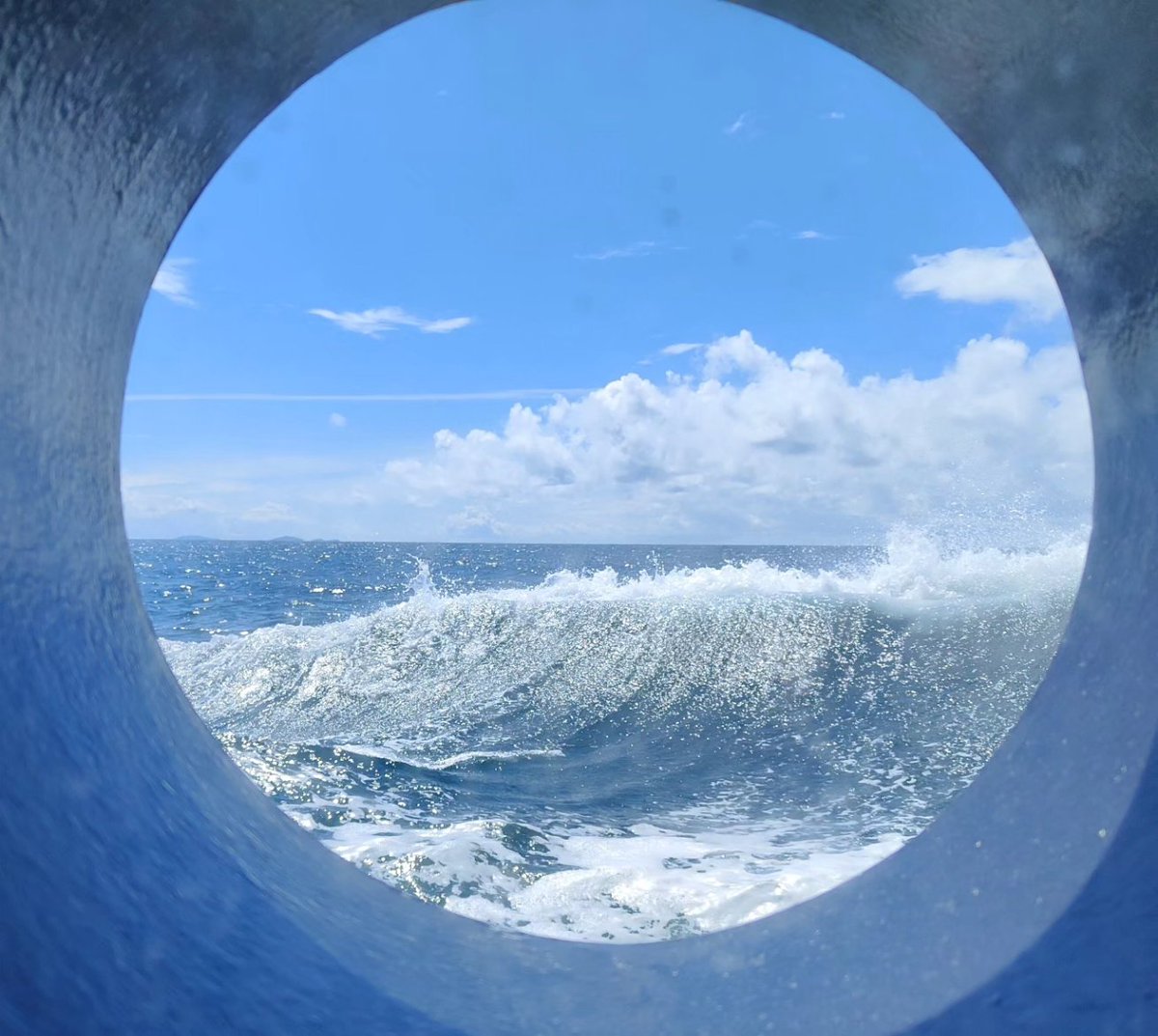 Charlotte Marris (she/her) tweet media