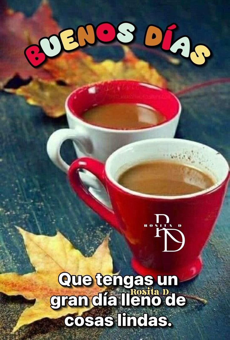 sarahmg1205's tweet photo. @PabloPriegoJim1 Gracias Corazón #Disfrutes este Lindo Domingo#⭐️⭐️♥️⭐️⭐️ https://t.co/E5ol5VDs5j