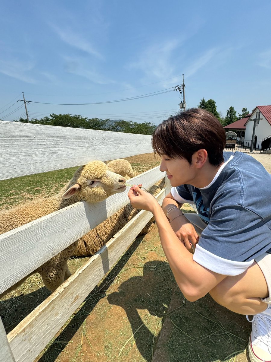 myluvil's tweet photo. 아
마음따뜻해 🥹🥹💕 https://t.co/IB6kt0a6ES