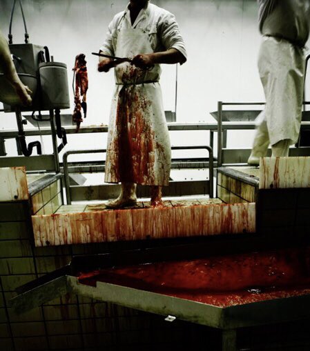 And so the world became divided between those who valued &amp; respected both life &amp; lives &amp; fought for a better world, &amp; those who continued to selfishly, mercilessly &amp; needlessly demand perpetual violence &amp; death &amp; the eternal debasement of humanity. 

#EndSpeciesism 
#BeVegan