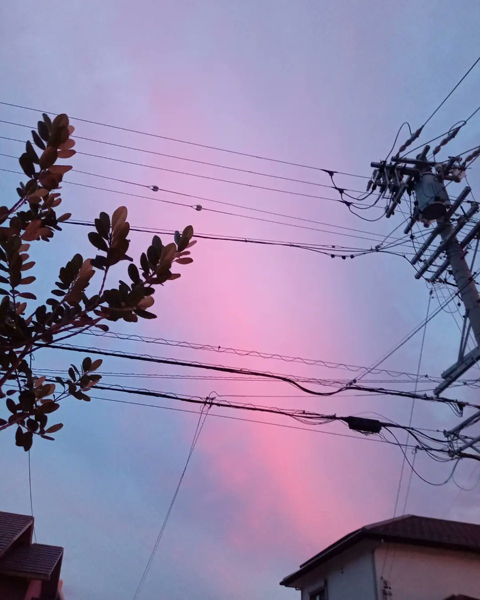 Apple_kbmafy's tweet photo. 言葉は雨のように、涙のように　ただ降ってくる
生まれいづる言葉
その1滴が大河となり、あなたへと注ぎますように

あなたの心に降らせる雨、
そしてまた　この河が澄むように
私はこの川を泳ぎつづける。何度でも　塗れながら
このカラフルな言葉の河を https://t.co/bhapcjgfi1