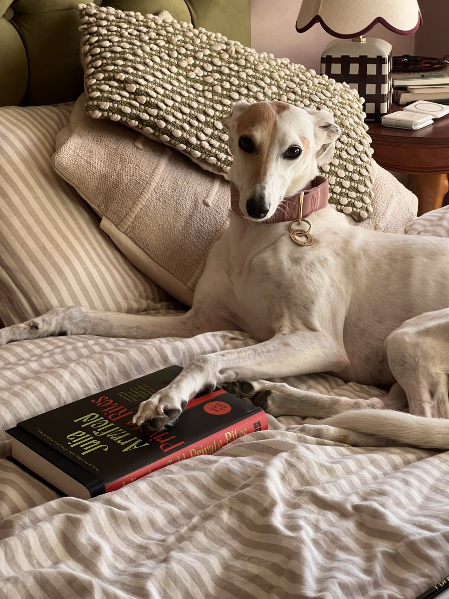 Beth Barker tweet media