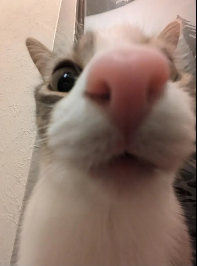 (I fuck with the name tho)