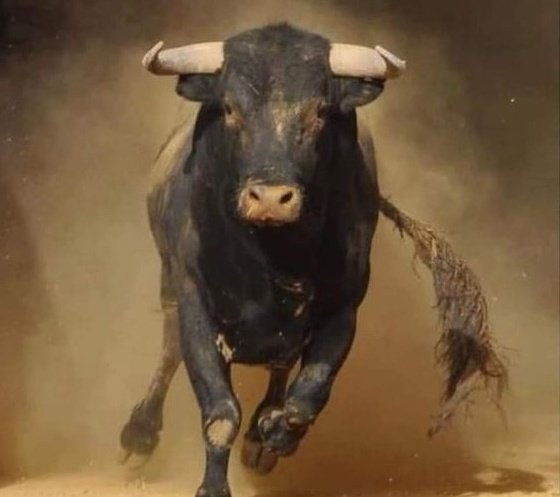 In Africa there is a statement that says 

Never approach a bull from the front, a horse from behind, an idiot from any direction