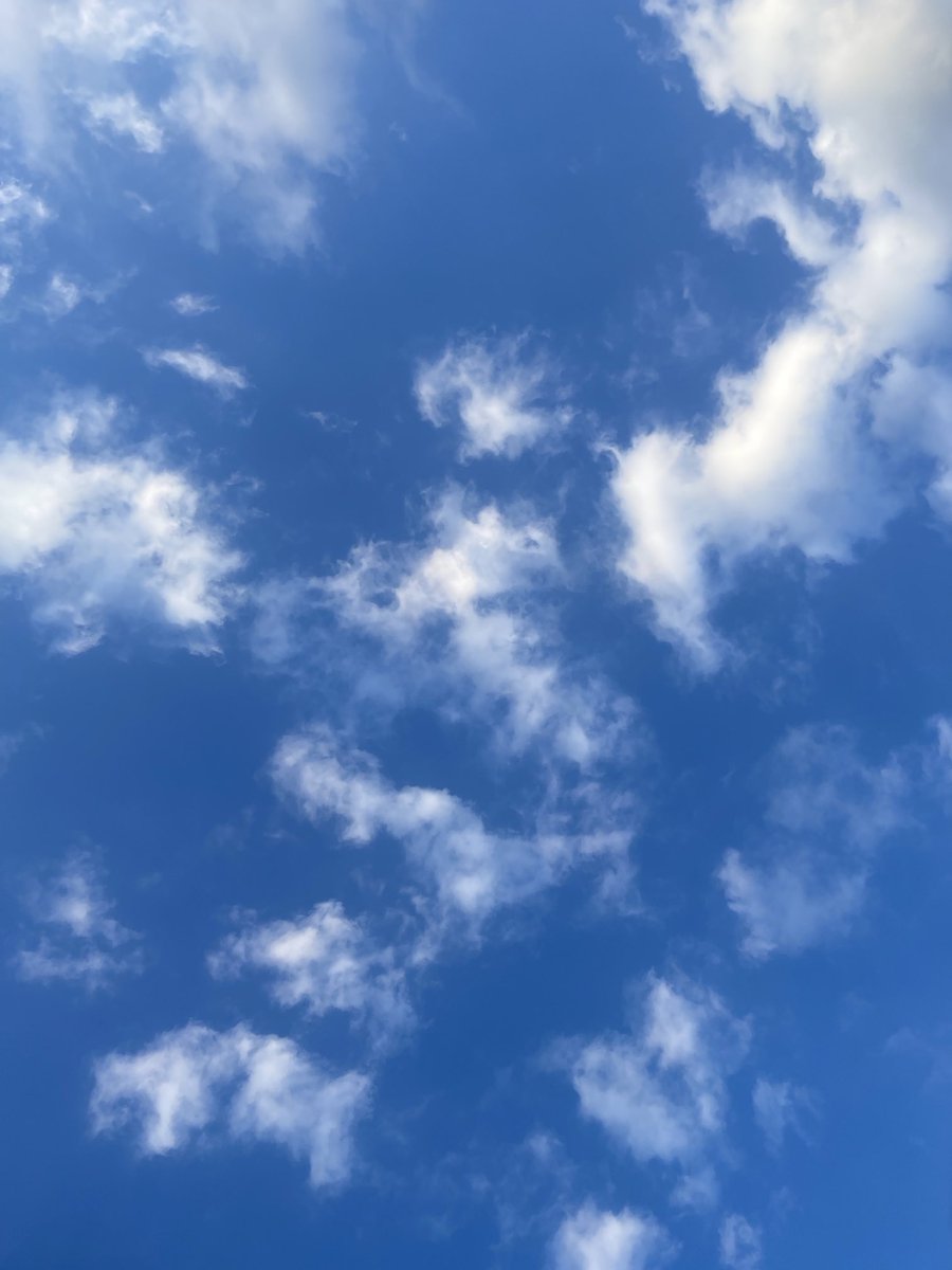 LimelightCrypt0's tweet image. In FL