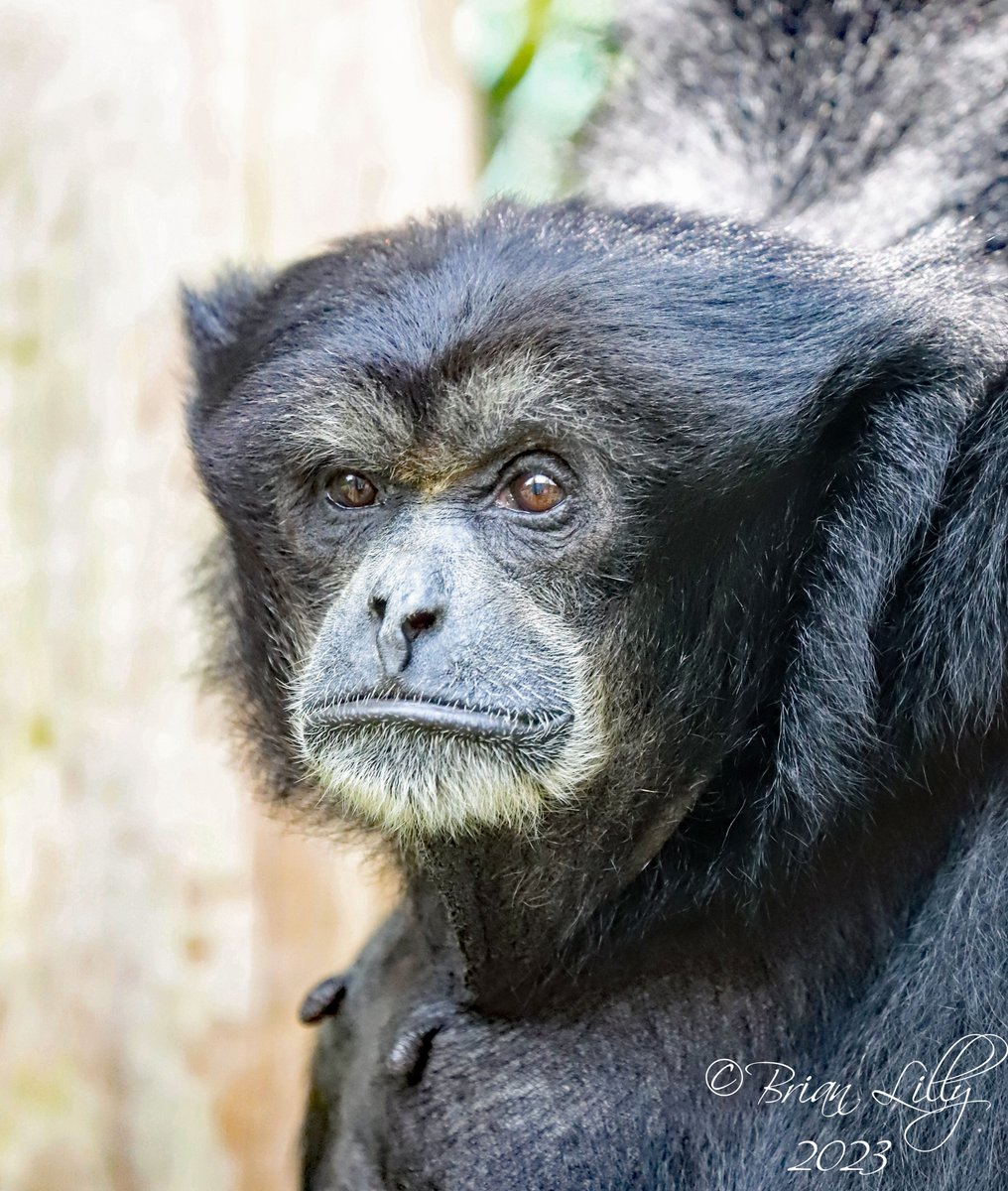 I think that, gibbon the circumstances,