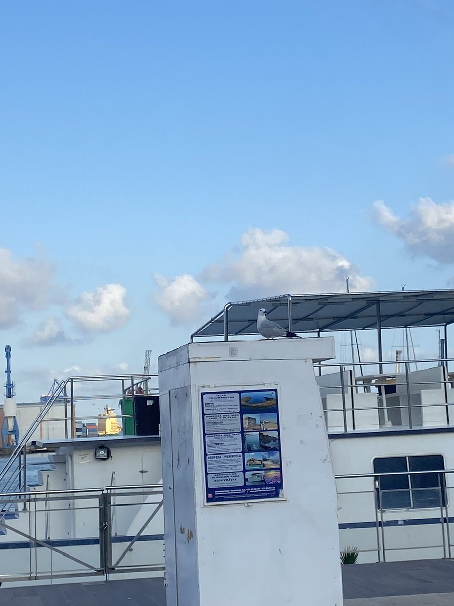 Dodowaterlines activo 🍃