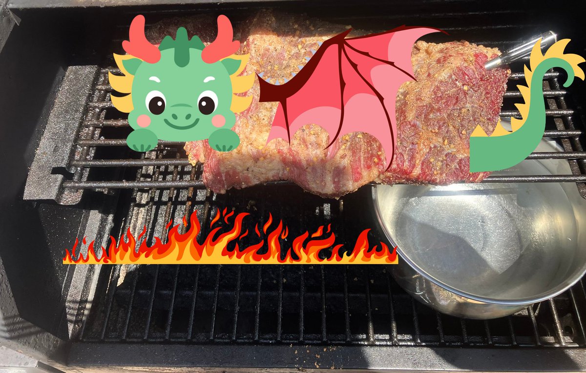_JennyXGen's tweet photo. Cooking up some dragon on the firepit for Sunday #MeatTwitter https://t.co/jax2LEZdEa