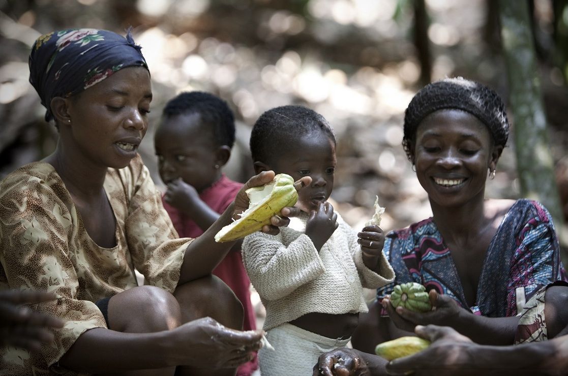 Today is World Chocolate Day! Celebrate by supporting women in the cocoa industry. Let's advocate for fair wages, better conditions, and equal opportunities. #WomenEmpowerment #FairTrade #WorldChocolateDay 🍫🎉