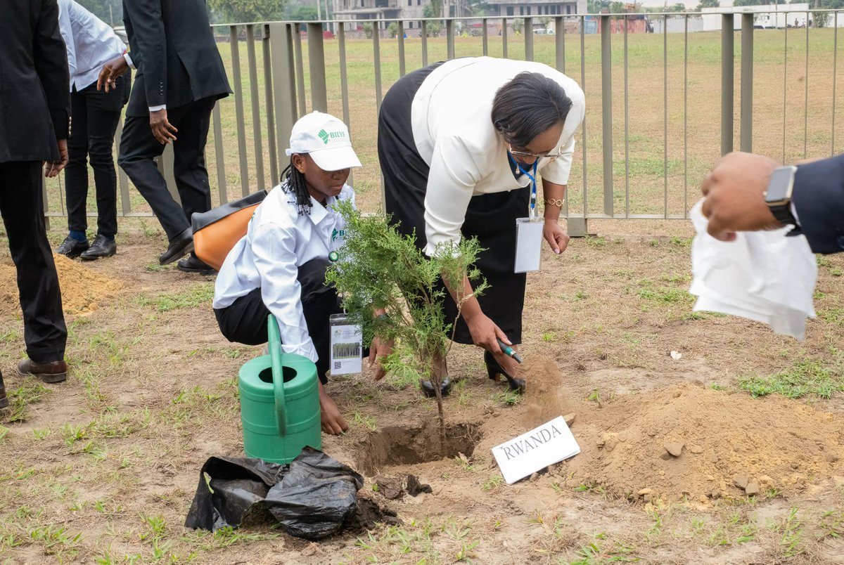Ciar_Damar's tweet photo. Juste après le segment dédié aux chefs d’État et de gouvernement lors de la CIAR, le président de la République du Congo a symboliquement planté quelques arbres en compagnie des invités venus de divers pays. 

#CIAR2024 #Reboisement #Afforestation #Biodiversité #cop27 https://t.co/5UZIuH9GoC