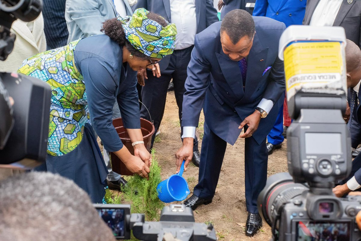 Ciar_Damar's tweet photo. Juste après le segment dédié aux chefs d’État et de gouvernement lors de la CIAR, le président de la République du Congo a symboliquement planté quelques arbres en compagnie des invités venus de divers pays. 

#CIAR2024 #Reboisement #Afforestation #Biodiversité #cop27 https://t.co/5UZIuH9GoC