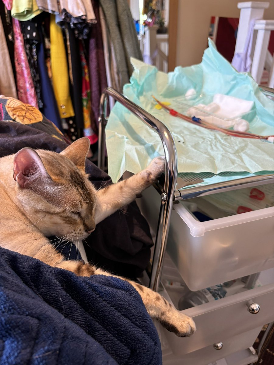 Maddy Warren tweet media