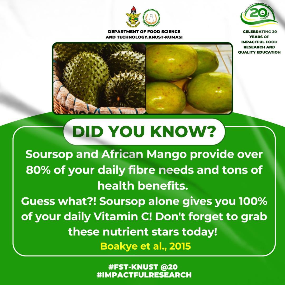 afsts_knust's tweet image. Celebrating 20 years of impactful research at FST-KNUST! 🌟 

Did you know soursop and African mango boost your health? Research led by Dr. Abena A. Boakye, Senior Lecturer, FST-KNUST. 

#FSTKNUST@20 
#ImpactfulResearch