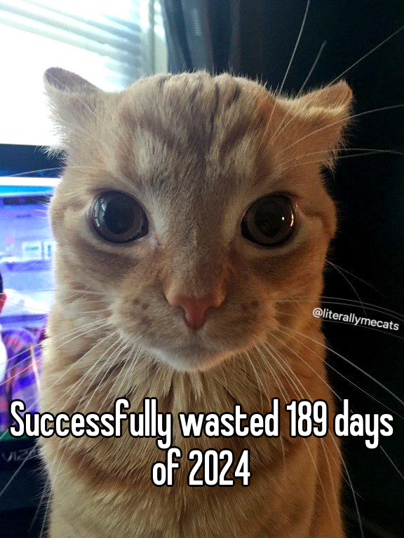 literallymecats's tweet photo. https://t.co/Jowp8HCQZG