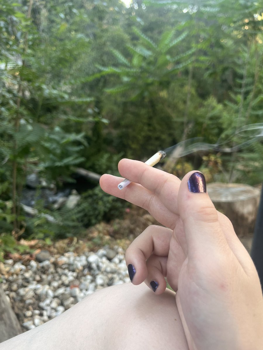 Brisingr_Phoenix tweet media