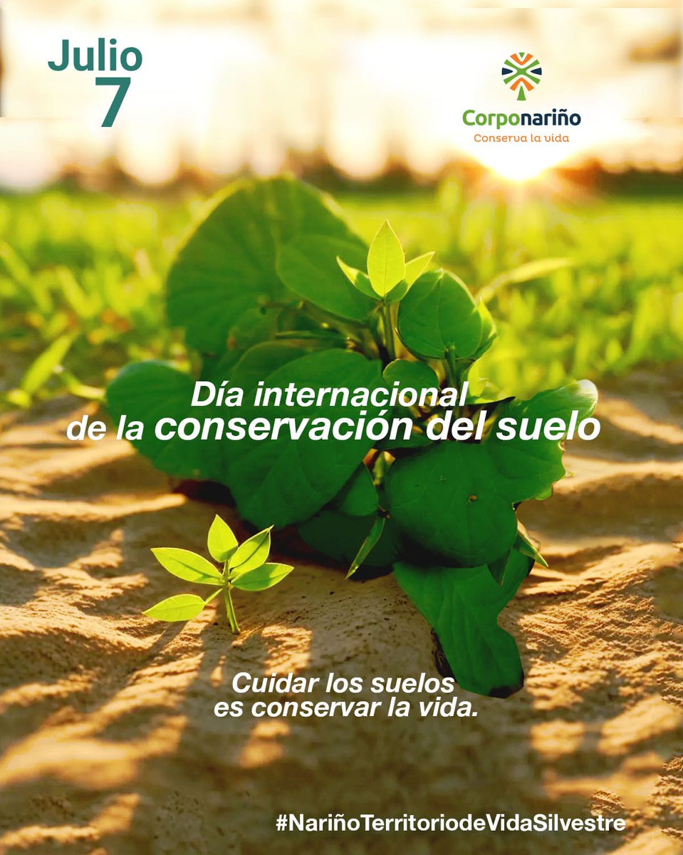 Los suelos son agricultura, agua, oxígeno y biodiversidad, regulan los ciclos del agua, ayudando durante las sequías. Para su preservación, es esencial evitar la deforestación y reducir el uso de químicos.
🌎🌿🍃✅️
#Corponariño  #DíaInternacionalDelSuelo