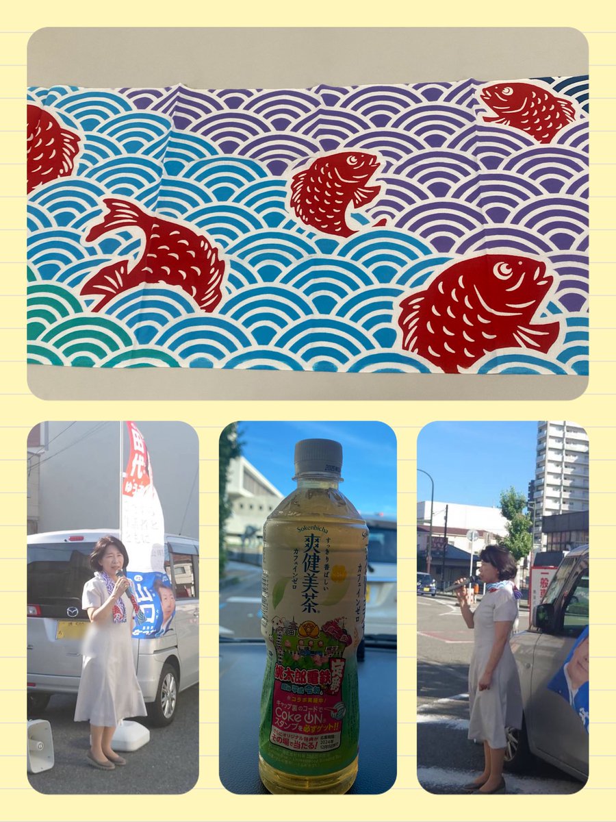 Tashiroyuko's tweet image. あまりに暑いので…#堺の伝統産業 #注染 の #手ぬぐい をスカーフ代わりに、街頭演説✨
#大漁 のデザイン、気に入っています😊

タクシーの運転手さんが
「しっかり水分取ってね！応援してるよ！」と #爽健美茶 まで。ありがとうございました。元気が出ました🙇🏻‍♀️✨
#府本部一斉街頭