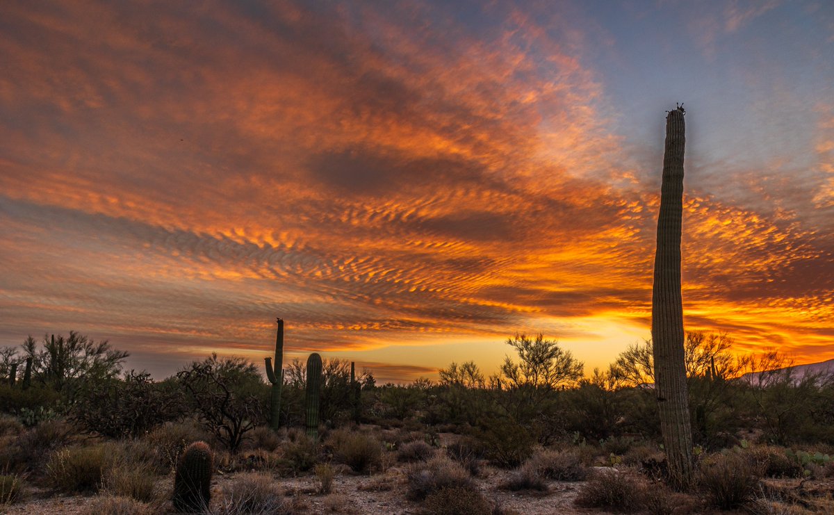 Beautiful start to the day today over #OroValley and the #Tucson #Arizona metro area.. #sunrise #sunrisephotography #azwx <a href="/MallorySchnell/">Mallory Schnell</a> <a href="/WaldrefWeather/">Stephanie Waldref</a>
