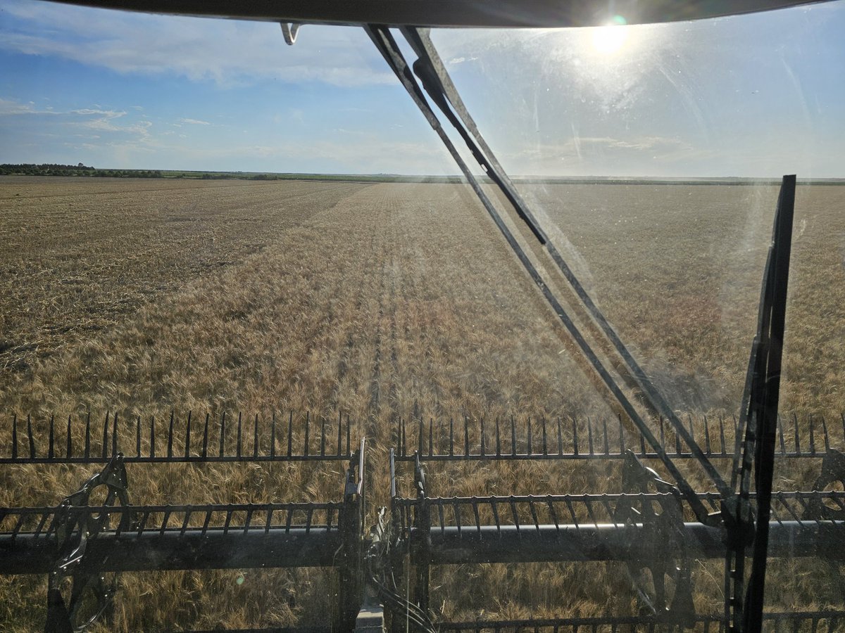 #wheat harvest 2024 kicked off yesterday!