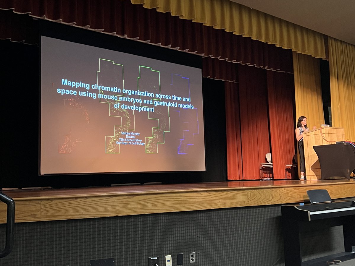 ChromatinGRS's tweet photo. Next up! @SedonaMurphy from @Yale decouples space and time in chromatin regulation of Hox gene development 🕓 #ChromatinGRS2024 https://t.co/agIQZjUliv