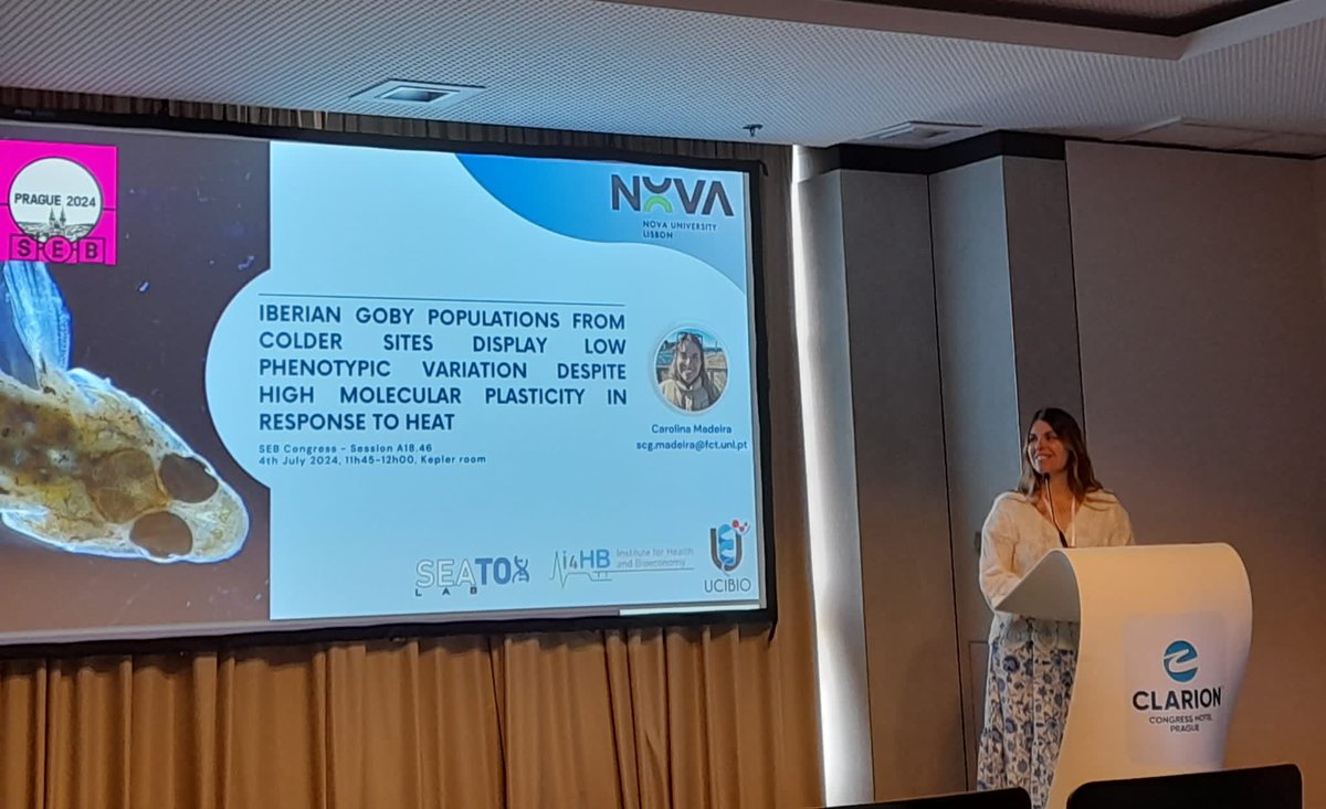 Carolina Madeira tweet media