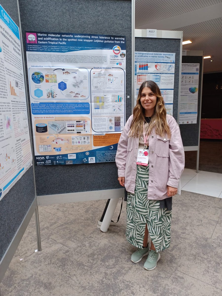 Carolina Madeira tweet media