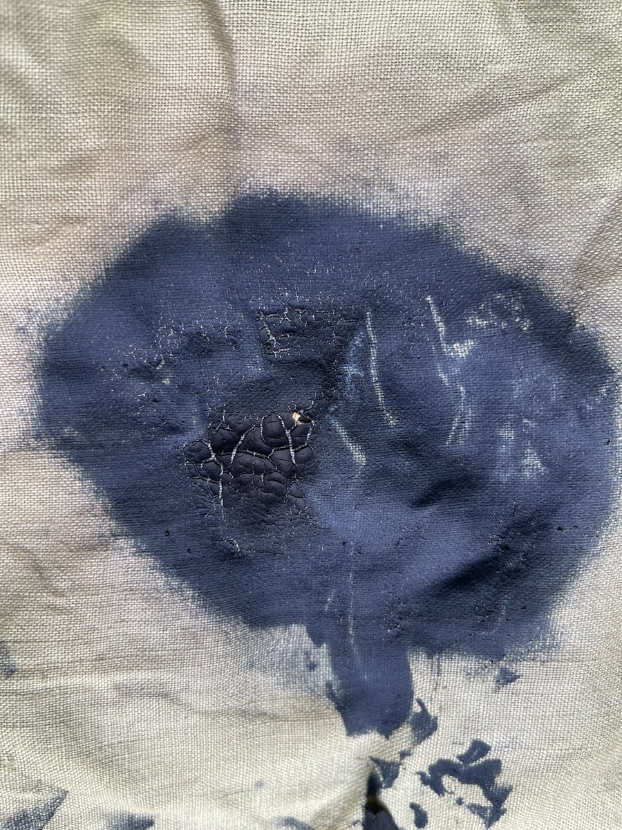 Art 4 All (@art4all_yorks) on Twitter photo First woad pigment of the year from yesterday’s workshop! <a href="/kirkleesmuseums/">Kirklees Museums</a> <a href="/woveninkirklees/">Woven in Kirklees</a> #woadayearofcolour First woad pigment of the year from yesterday’s workshop! <a href="/kirkleesmuseums/">Kirklees Museums</a> <a href="/woveninkirklees/">Woven in Kirklees</a> #woadayearofcolour