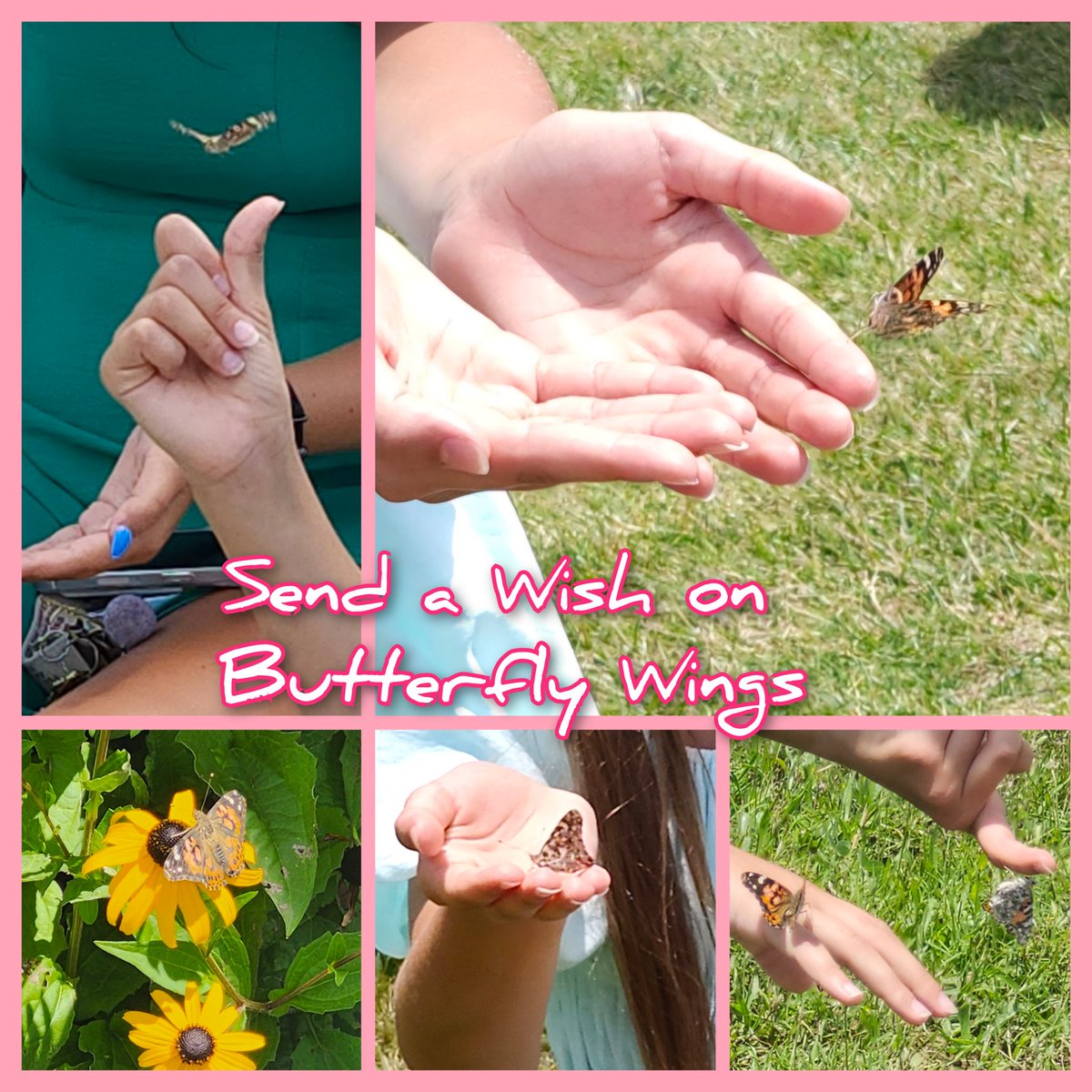 Cris Meadows was a shining star as a Wayne substitute eacher. She became a fixture in Robey's hallway. You could see her glow and wonderful smile from hallway to hallway. She passed away this past June. Yesterday was her beautiful Celebration of  Life at Rick's.
<a href="/RobeyRockets/">Robey Elementary</a>