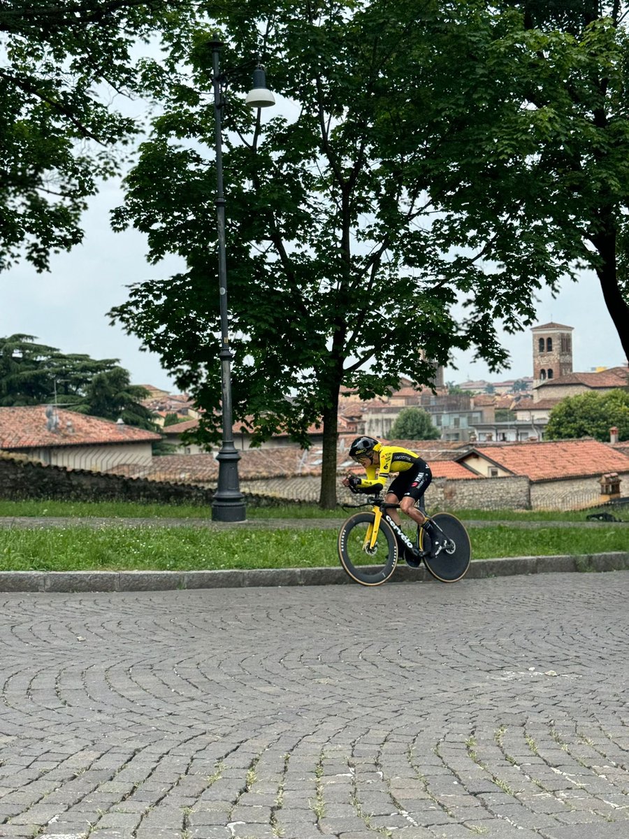 Alice Maggio tweet media