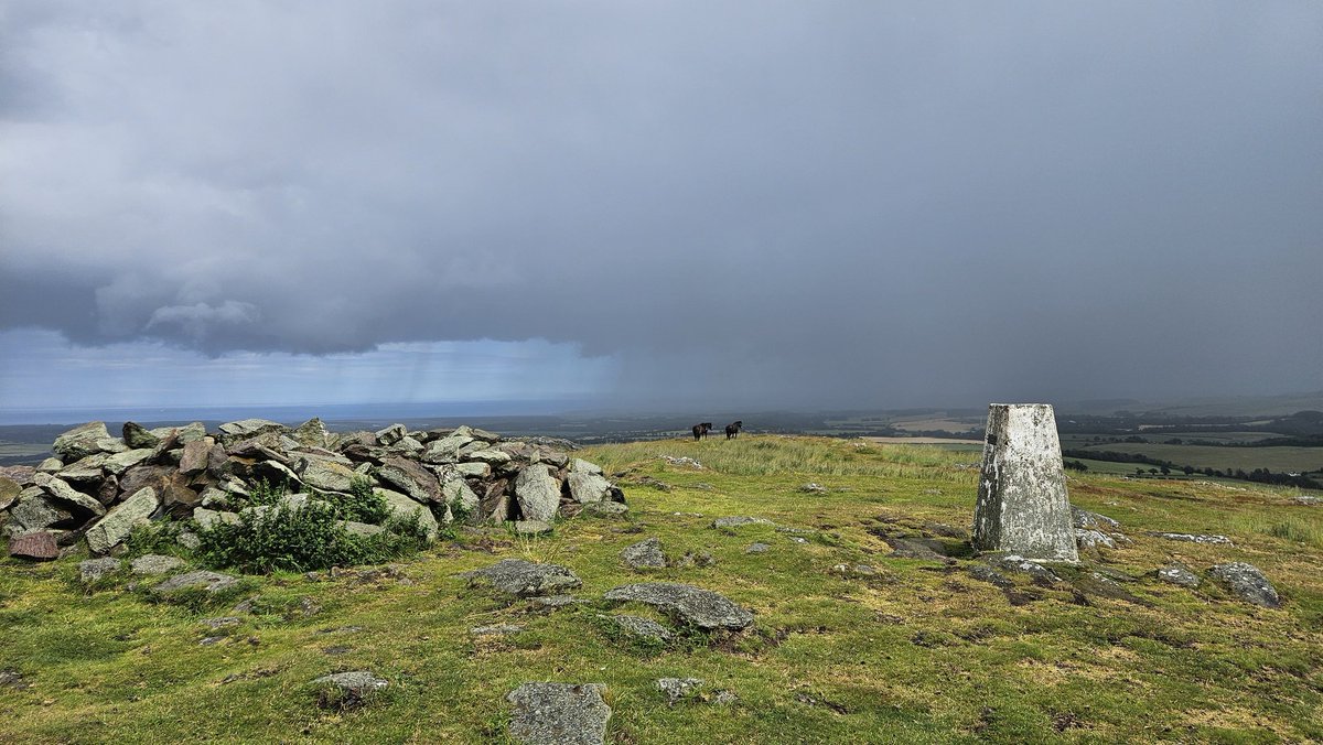 jofwx's tweet image. Passing shower 
Ponies and #trigpoint